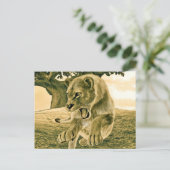 Jagdschlösser Postkarte (Stehend Vorderseite)