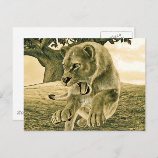 Jagdschlösser Postkarte (Vorne/Hinten)