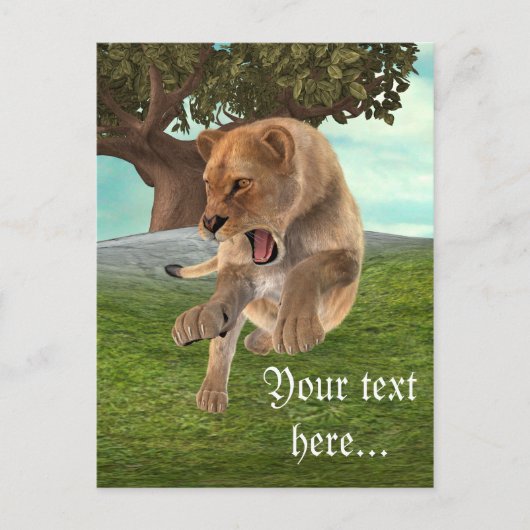 Jagdschlösser Postkarte (Vorderseite)