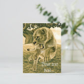 Jagdschlösser Postkarte (Stehend Vorderseite)