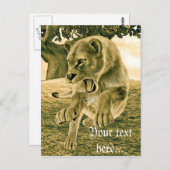 Jagdschlösser Postkarte (Vorne/Hinten)