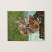 Jagdschlösser Puzzle (Horizontal)