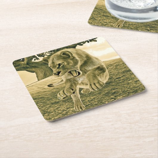 Jagdschlösser Rechteckiger Pappuntersetzer (angewinkelt)