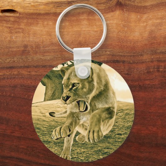 Jagdschlösser Schlüsselanhänger (Vorderseite)