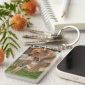 Jagdschlösser Schlüsselanhänger (Vorderseite rechts)