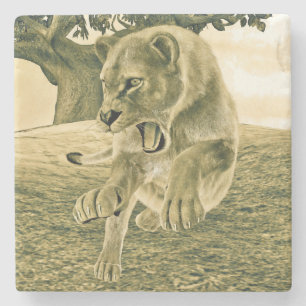 Jagdschlösser Steinuntersetzer