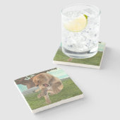 Jagdschlösser Steinuntersetzer (Seitenansicht)