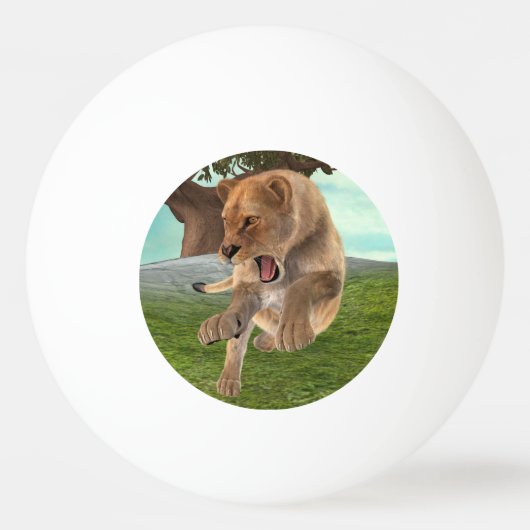 Jagdschlösser Tischtennisball (Vorderseite)