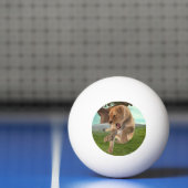 Jagdschlösser Tischtennisball (Netto)