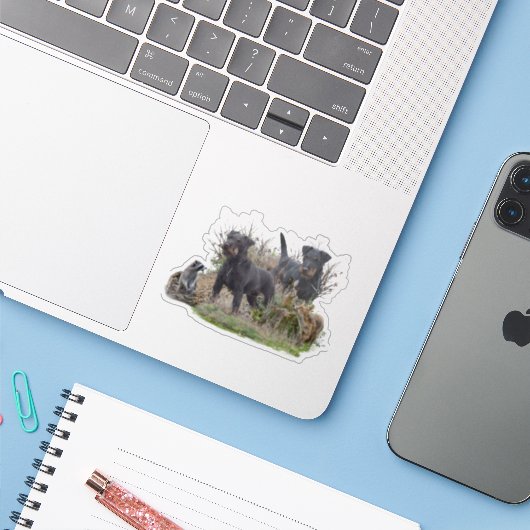 Jagdterer , Bo gegen Renbrad Kennel.'' Aufkleber (Laptop mit iPhone)