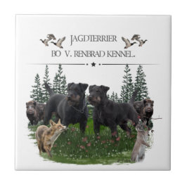 Jagdterer Bo gegen Renbrad Kennel. HP Notebook-Ski Fliese