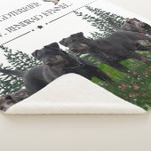 Jagdterer Bo gegen Renbrad Kennel. HP Notebook-Ski Sherpadecke (3/4)