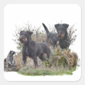 Jagdterer , Bo gegen Renbrad Kennel.'' Sticker (Vorderseite)