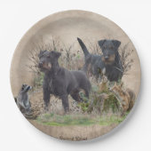 Jagdterer , Bo gegen Renbrad Kennel.'' Sticker Pappteller (Vorderseite)