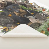 Jagdterre, deutsche Jagdterrasse, Poste Sherpadecke (3/4)