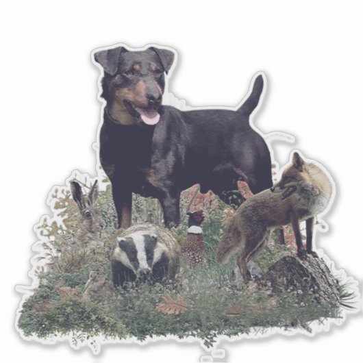 Jagdterre, Deutscher Jagdterrier-Sticker Aufkleber (Vorderseite)
