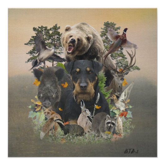 Jagdterre, deutsches Jagdterrasse Poster (Vorderseite)