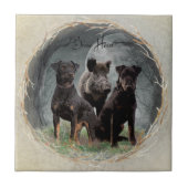 Jagdterre , tapferes Plexiglas Fliese (Vorderseite)