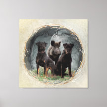 Jagdterre , tapferes Plexiglas