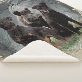 Jagdterre , tapferes Plexiglas Sherpadecke (3/4)