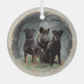 Jagdterrier  ornament aus glas (Vorderseite)