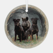 Jagdterrier  ornament aus glas (Rückseite)