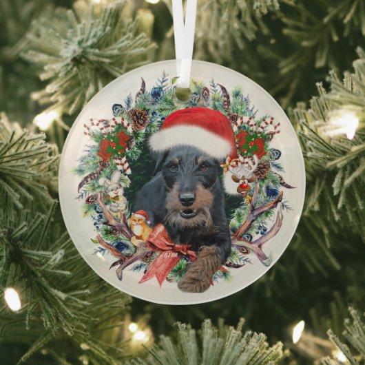 Jagdterry, Frohe Weihnachten Ornament Aus Glas (InSitu)