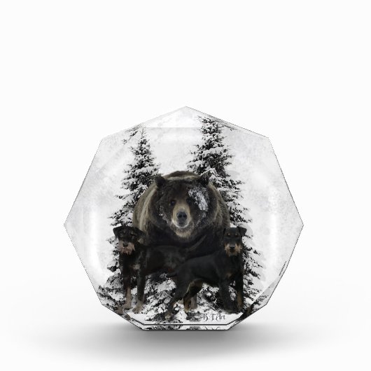 Jagdterry Tapestry Poster Acrylic Print Triptych Fotoblock (Vorderseite)