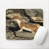JagdWeasel Mousepad (Mit Mouse)