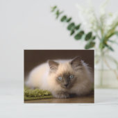 Jagen der Mäusepostkarte Postkarte (Stehend Vorderseite)