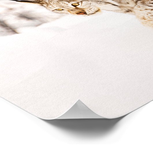Jagen einer Luchkatze im Schnee Poster (Ecke)