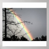 Jagen nach Rainbows Poster (Vorne)