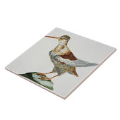 Jagen Sie, c.1767-76 Schnepfen (Hand farbiger Fliese (Seite)