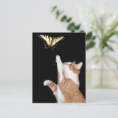 jagen Sie Ihren Traum Postkarte (Stehend Vorderseite)