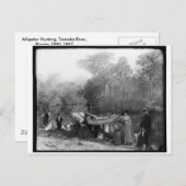 Jagen von Alligatoren, Fluss Tomoka, Florida 1880- Postkarte (Vorne/Hinten)
