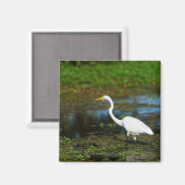Jäger Egret Magnet (Vorderseite/Rückseite)