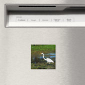 Jäger Egret Magnet (In Situ (Geschirrspüler))