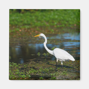 Jäger Egret Magnet