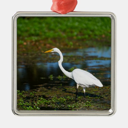 Jäger Egret Ornament Aus Metall (Vorne)