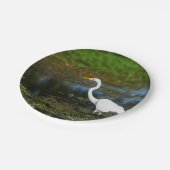 Jäger Egret Pappteller (Schrägansicht)