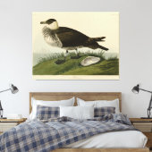 Jager (Pomarine Jäger) Audubons Vögel von Amerika Leinwanddruck (Insitu (Schlafzimmer))