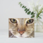 Jäger Postkarte (Stehend Vorderseite)