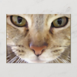 Jäger Postkarte
