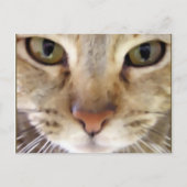 Jäger Postkarte (Vorderseite)