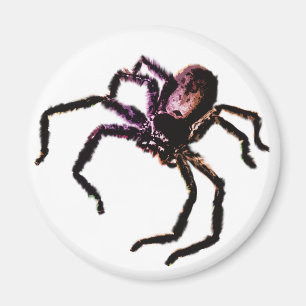 Jäger-Spinne Magnet