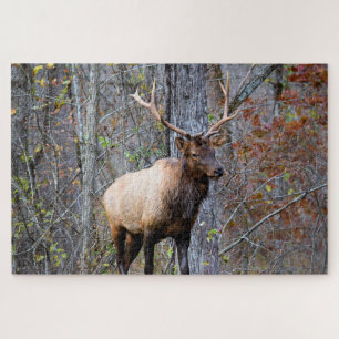 Jäger von Großwild - Bullenelk - 50x75 cm Puzzle
