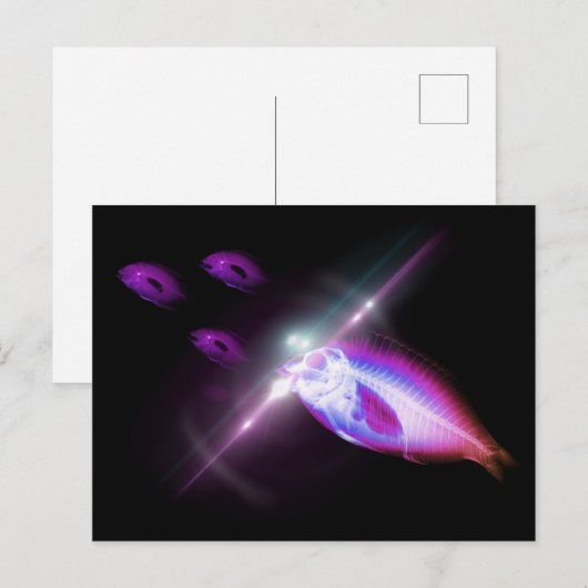 Jägeressen X-Ray Fisch 2 Postkarte (Vorne/Hinten)