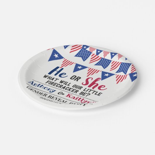 Jägerfahnen 4. Juli Party Pappteller (Schrägansicht)