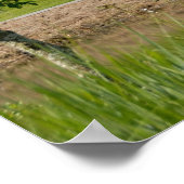 Jägergrün Poster (Ecke)