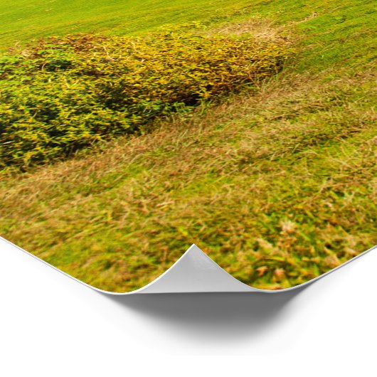 Jägergrün Poster (Ecke)